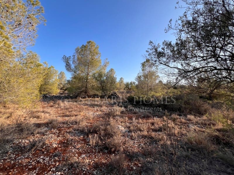 Grunde uden byggetilladelser til salg i Chella - € 100.000 (Ref: 8519273)