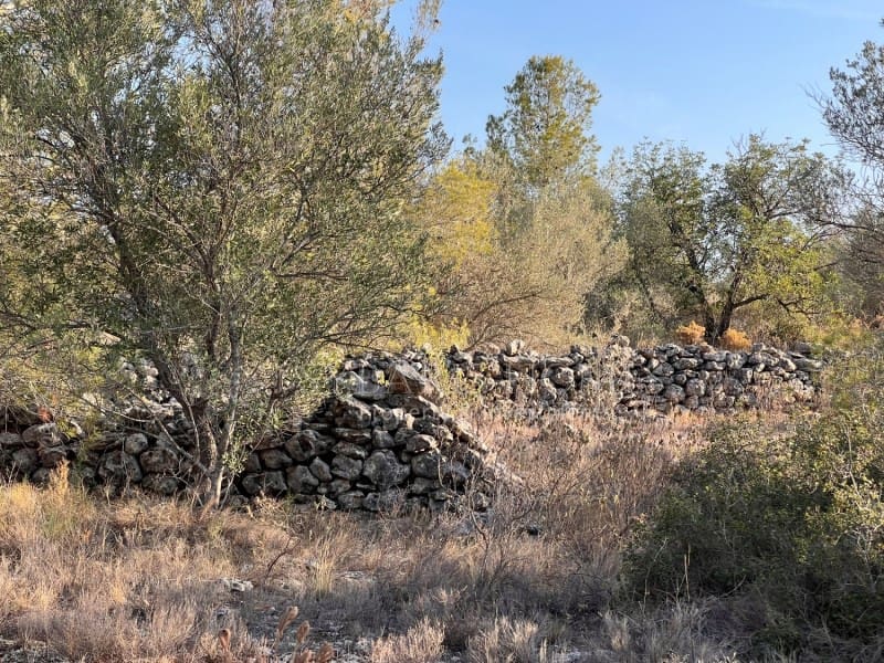 Grunde uden byggetilladelser til salg i Chella - € 100.000 (Ref: 8519273)