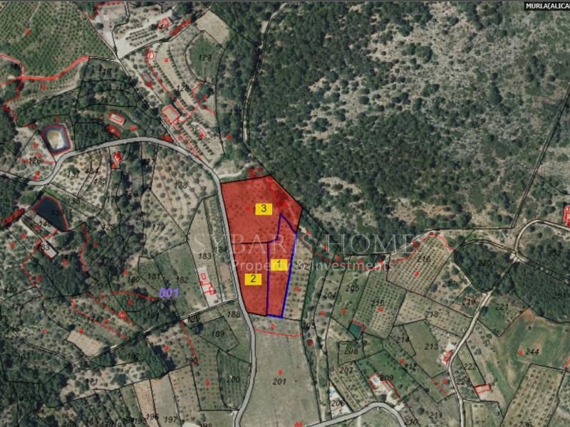 Undeveloped Land for sale in Murla - € 120,000 (Ref: 8570826)