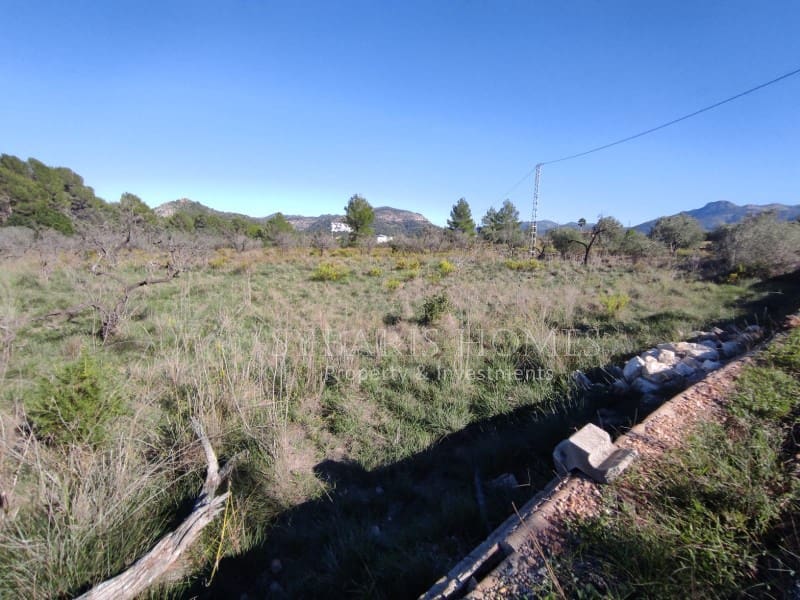 Undeveloped Land for sale in Murla - € 120,000 (Ref: 8570826)