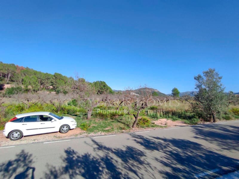 Undeveloped Land for sale in Murla - € 120,000 (Ref: 8570826)