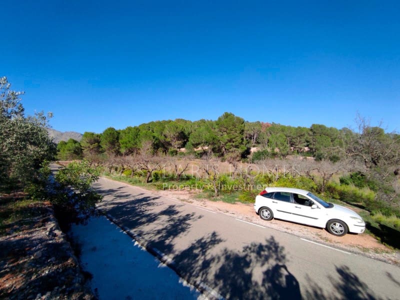 Undeveloped Land for sale in Murla - € 120,000 (Ref: 8570826)