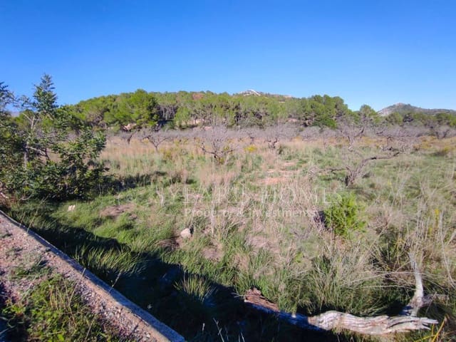 Undeveloped Land for sale in Murla - € 120,000 (Ref: 8570826)