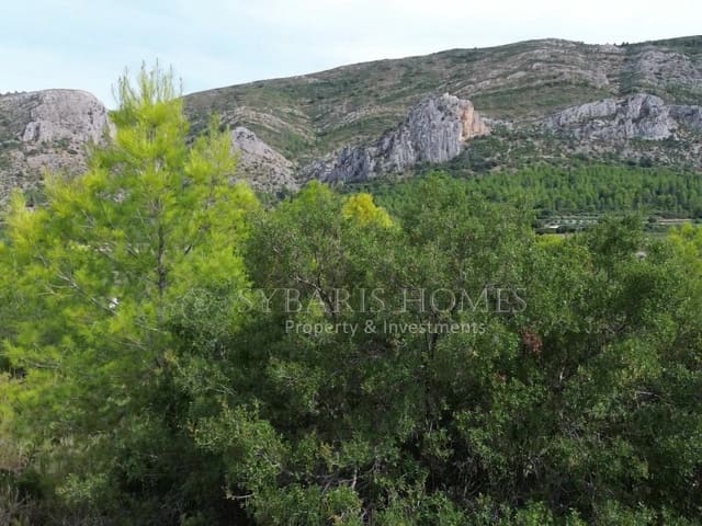 Undeveloped Land for sale in Pedreguer - € 140,000 (Ref: 9075837)