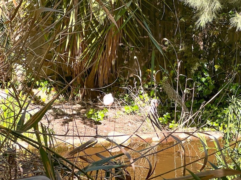 4 soveværelse Finca/Landehus til salg i Jalon / Xalo - € 1.600.000 (Ref: 9106772)