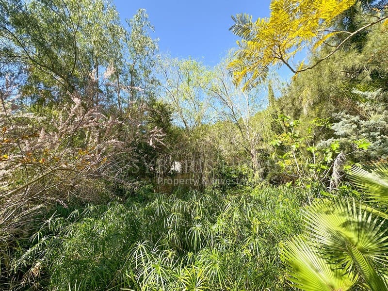 4 soveværelse Finca/Landehus til salg i Jalon / Xalo - € 1.600.000 (Ref: 9106772)