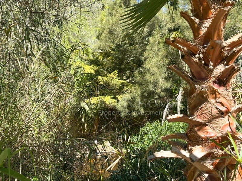 4 soveværelse Finca/Landehus til salg i Jalon / Xalo - € 1.600.000 (Ref: 9106772)