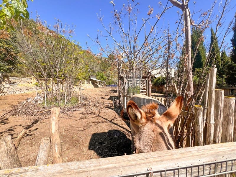 4 soveværelse Finca/Landehus til salg i Jalon / Xalo - € 1.600.000 (Ref: 9106772)