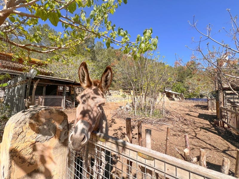 4 soveværelse Finca/Landehus til salg i Jalon / Xalo - € 1.600.000 (Ref: 9106772)