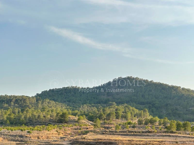 2 bedroom Finca/Country House for sale in Monovar / Monover with garage - € 950,000 (Ref: 9894442)