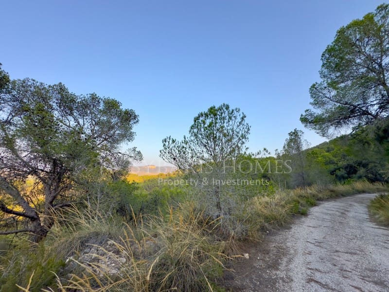 2 bedroom Finca/Country House for sale in Monovar / Monover with garage - € 950,000 (Ref: 9894442)