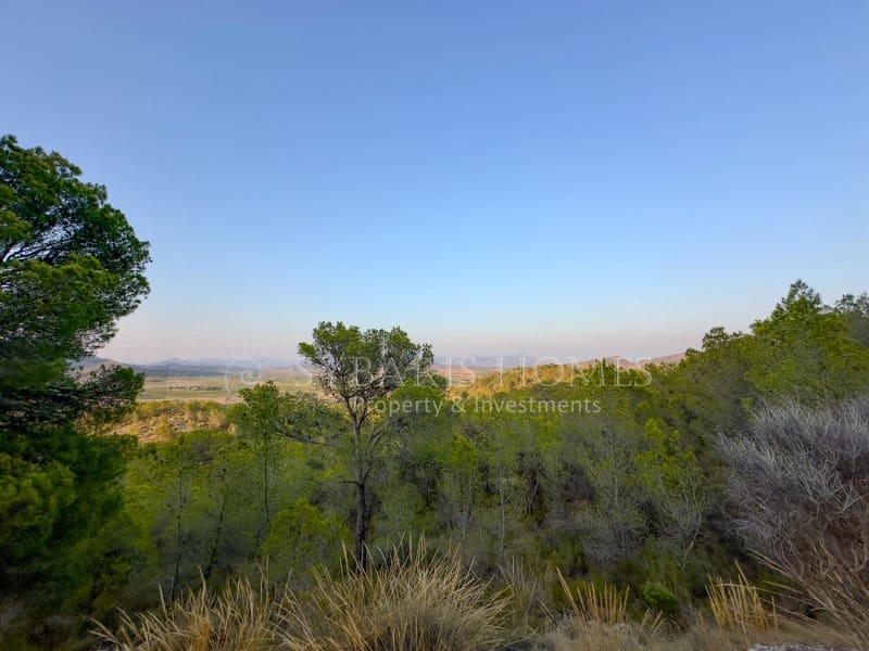 2 bedroom Finca/Country House for sale in Monovar / Monover with garage - € 950,000 (Ref: 9894442)