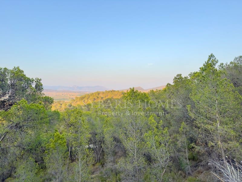 2 bedroom Finca/Country House for sale in Monovar / Monover with garage - € 950,000 (Ref: 9894442)