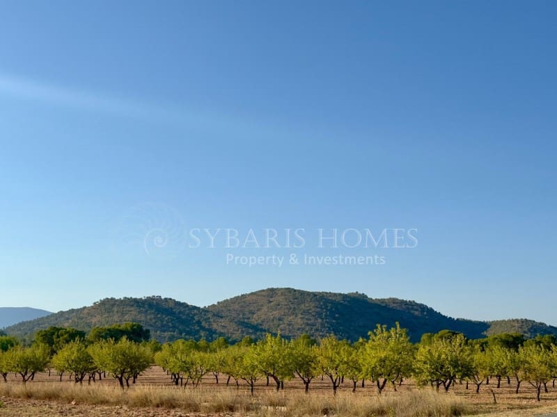 2 bedroom Finca/Country House for sale in Monovar / Monover with garage - € 950,000 (Ref: 9894442)