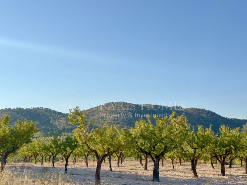 2 bedroom Finca/Country House for sale in Monovar / Monover with garage - € 950,000 (Ref: 9894442)