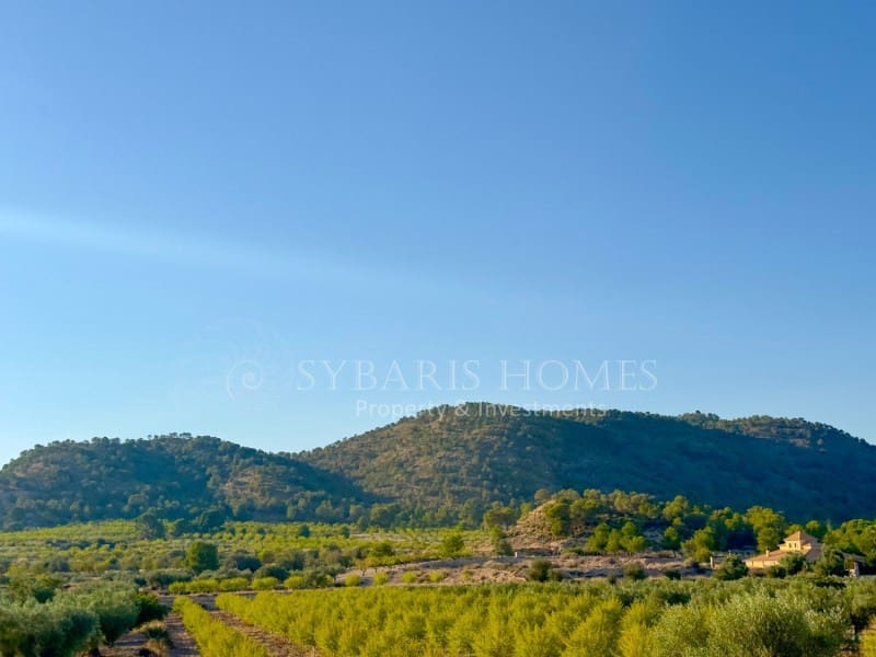 2 bedroom Finca/Country House for sale in Monovar / Monover with garage - € 950,000 (Ref: 9894442)