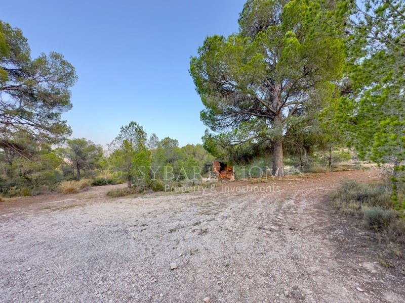 2 bedroom Finca/Country House for sale in Monovar / Monover with garage - € 950,000 (Ref: 9894442)