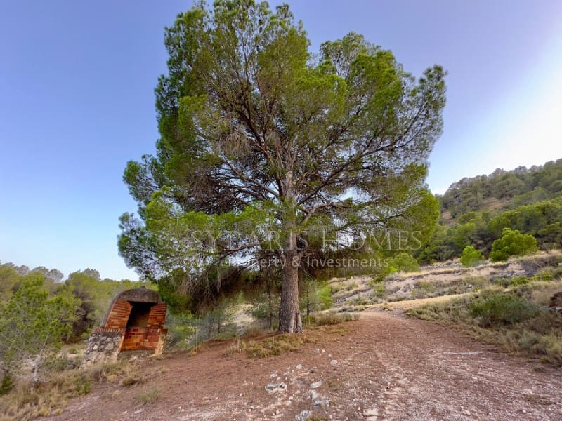 2 bedroom Finca/Country House for sale in Monovar / Monover with garage - € 950,000 (Ref: 9894442)