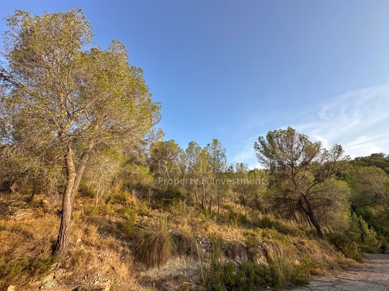 2 bedroom Finca/Country House for sale in Monovar / Monover with garage - € 950,000 (Ref: 9894442)