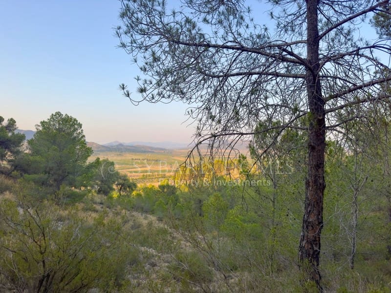 2 bedroom Finca/Country House for sale in Monovar / Monover with garage - € 950,000 (Ref: 9894442)