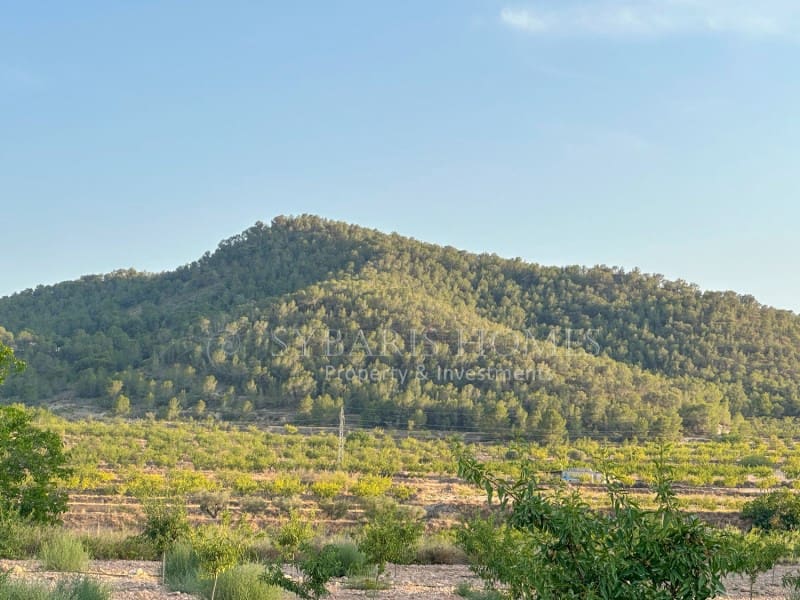2 bedroom Finca/Country House for sale in Monovar / Monover with garage - € 950,000 (Ref: 9894442)