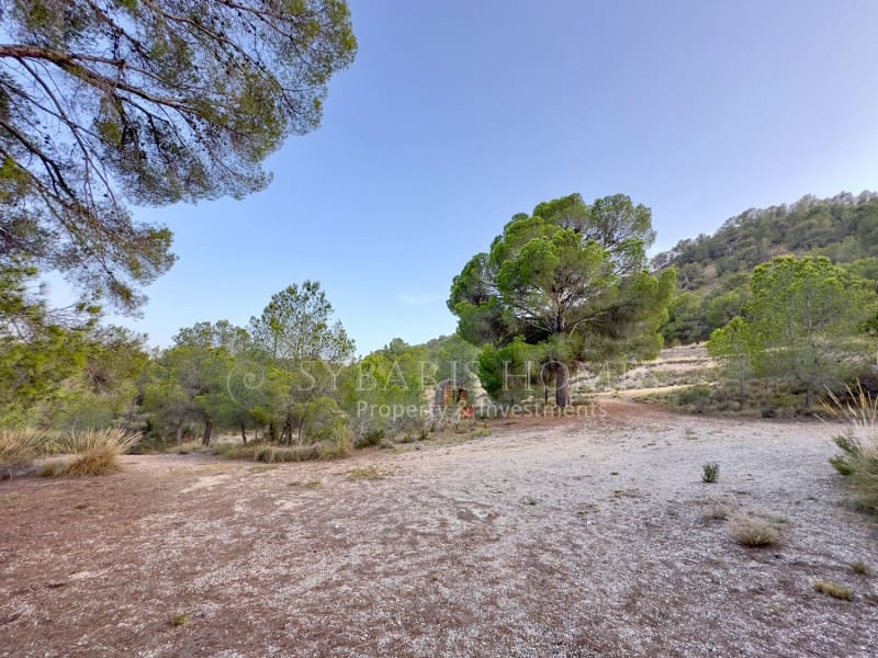 2 bedroom Finca/Country House for sale in Monovar / Monover with garage - € 950,000 (Ref: 9894442)