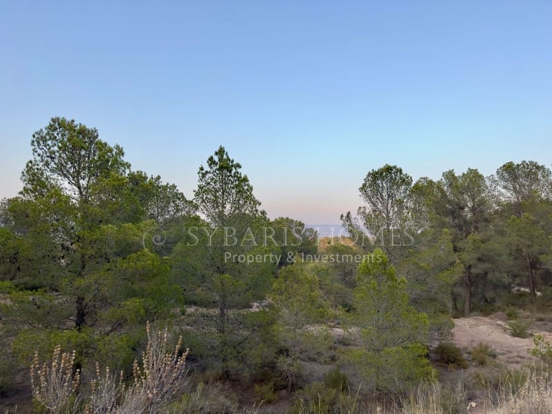 2 bedroom Finca/Country House for sale in Monovar / Monover with garage - € 950,000 (Ref: 9894442)