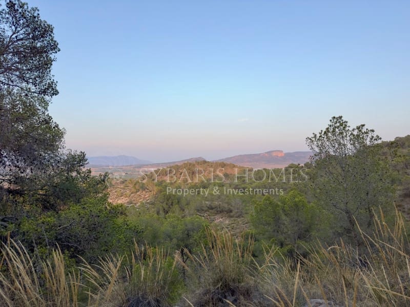 2 bedroom Finca/Country House for sale in Monovar / Monover with garage - € 950,000 (Ref: 9894442)