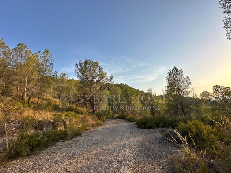 2 bedroom Finca/Country House for sale in Monovar / Monover with garage - € 950,000 (Ref: 9894442)