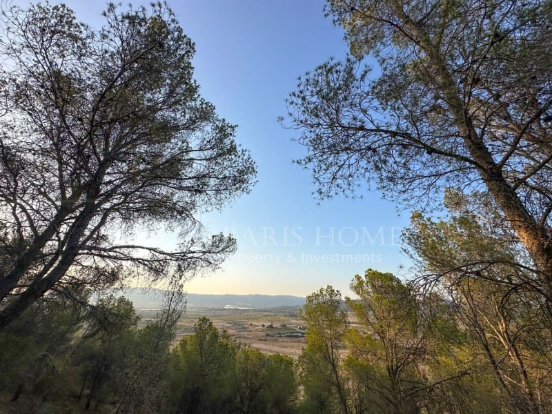 2 bedroom Finca/Country House for sale in Monovar / Monover with garage - € 950,000 (Ref: 9894442)