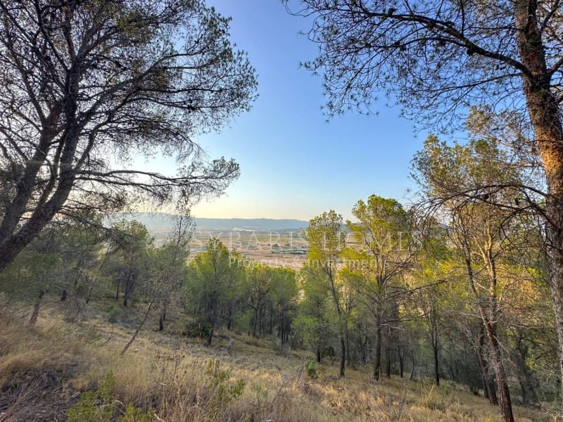 2 bedroom Finca/Country House for sale in Monovar / Monover with garage - € 950,000 (Ref: 9894442)