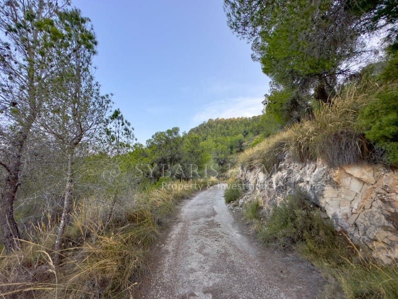 2 bedroom Finca/Country House for sale in Monovar / Monover with garage - € 950,000 (Ref: 9894442)
