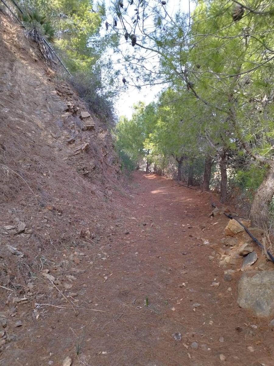 7 soveværelse Villa til salg i Entrerrios med swimmingpool garage - € 800.000 (Ref: 9434740)