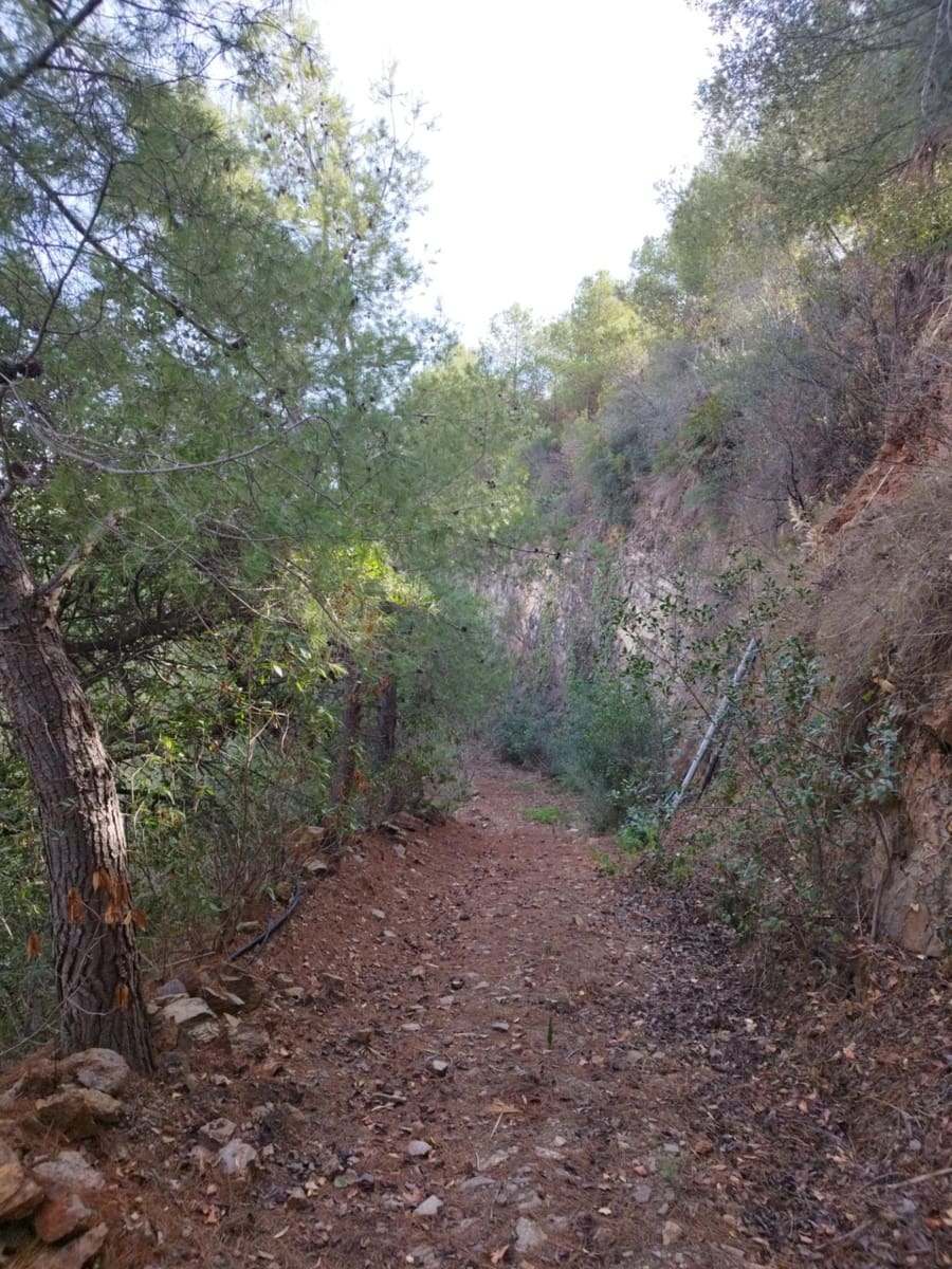 7 soveværelse Villa til salg i Entrerrios med swimmingpool garage - € 800.000 (Ref: 9434740)