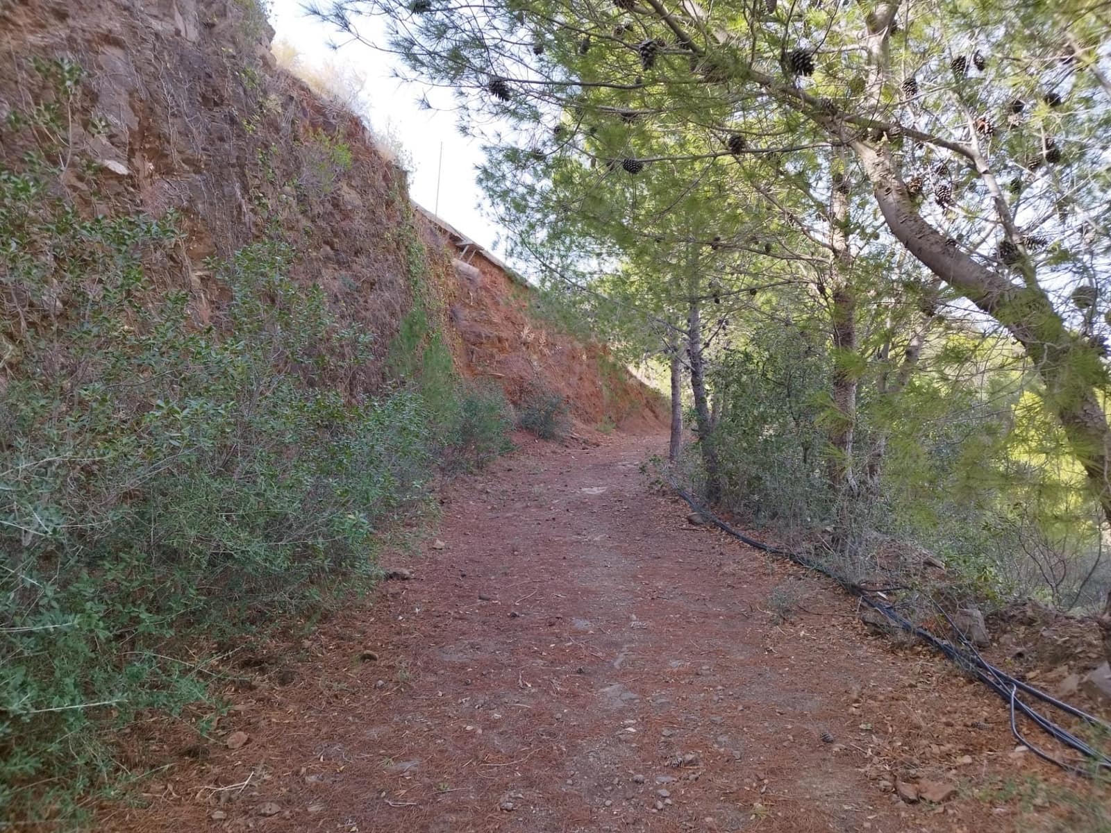 7 soveværelse Villa til salg i Entrerrios med swimmingpool garage - € 800.000 (Ref: 9434740)