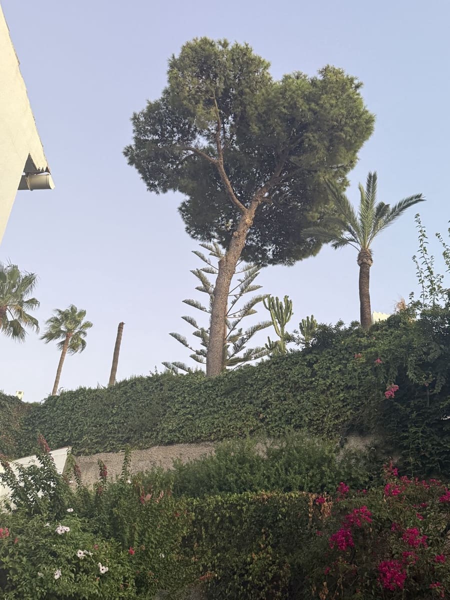 3 chambre Villa/Maison Semi-Mitoyenne à vendre à Riviera del Sol avec piscine garage - 550 000 € (Ref: 10077515)