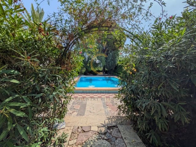 4 slaapkamer Villa te koop in Novelda met zwembad - € 279.995 (Ref: 10064070)