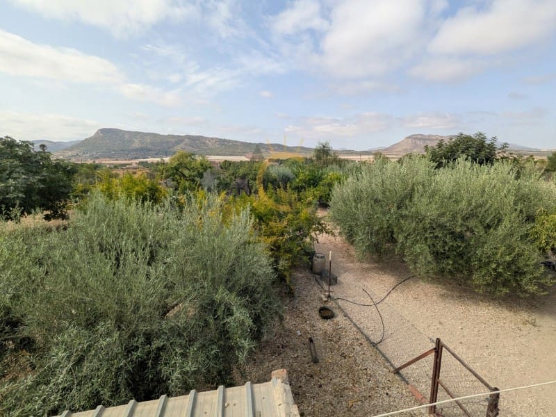 3 camera da letto Finca/Casa di Campagna in vendita in Aspe con piscina garage - 289.000 € (Rif: 10086093)