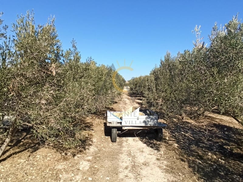 4 soveværelse Villa til salg i La Romana med swimmingpool garage - € 275.000 (Ref: 6652351)