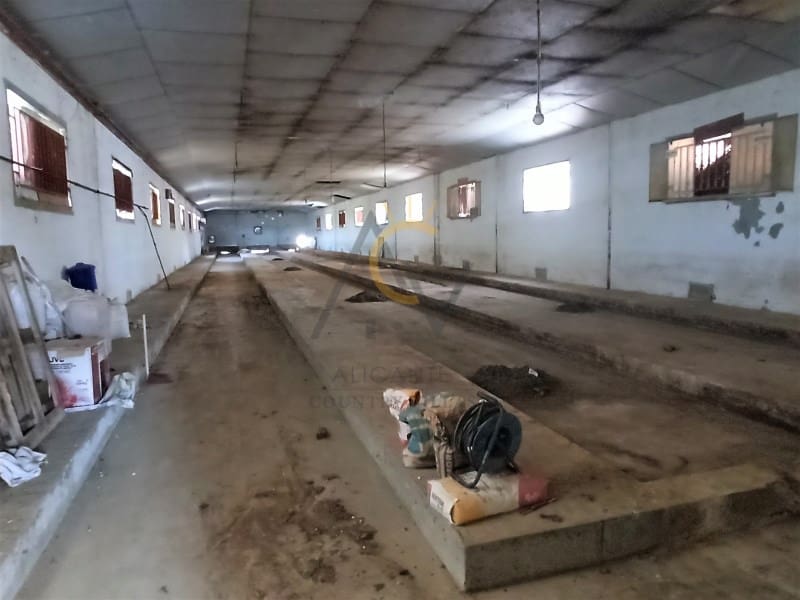 4 soveværelse Villa til salg i La Romana med swimmingpool garage - € 275.000 (Ref: 6652351)