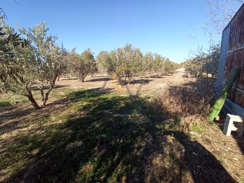 4 soveværelse Villa til salg i La Romana med swimmingpool garage - € 275.000 (Ref: 6652351)