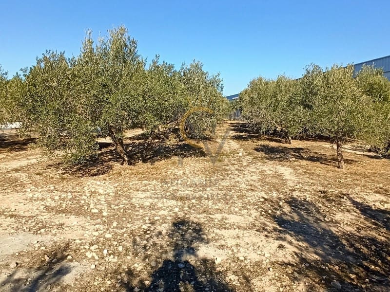 4 soveværelse Villa til salg i La Romana med swimmingpool garage - € 275.000 (Ref: 6652351)