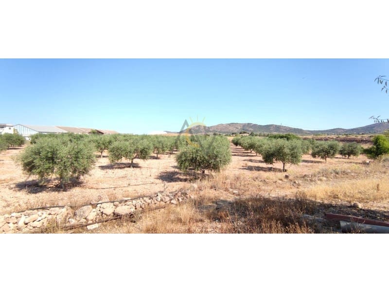 4 bedroom Finca/Country House for sale in La Romana - € 149,995 (Ref: 7005869)