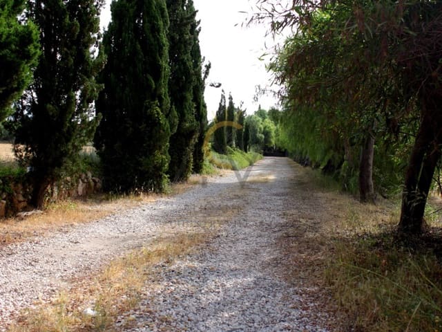 Chalet de 6 habitaciones en Monforte del Cid en venta con piscina garaje - 415.000 € (Ref: 7022040)