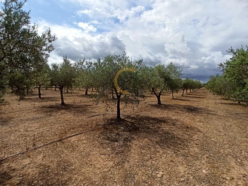 3 Zimmer Villa zu verkaufen in Hondon de las Nieves mit Pool Garage - 339.500 € (Ref: 7768071)