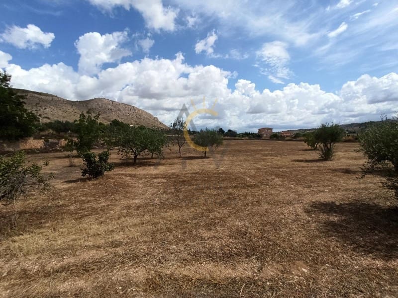 3 Zimmer Villa zu verkaufen in Hondon de las Nieves mit Pool Garage - 339.500 € (Ref: 7768071)