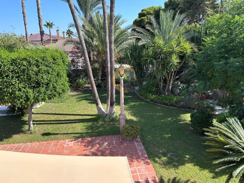 5 chambre Villa/Maison à vendre à Elche / Elx avec piscine - 619 500 € (Ref: 8045557)