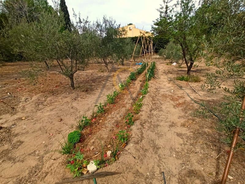 3 sypialnia Finka/Dom wiejski na sprzedaż w Elda z basenem - 199 500 € (Ref: 8300776)