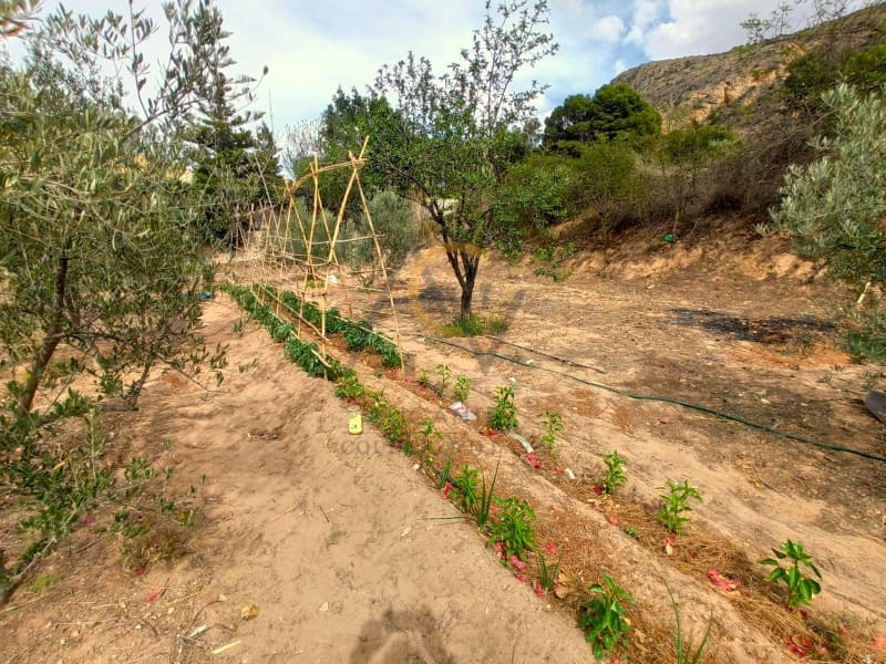 3 sypialnia Finka/Dom wiejski na sprzedaż w Elda z basenem - 199 500 € (Ref: 8300776)