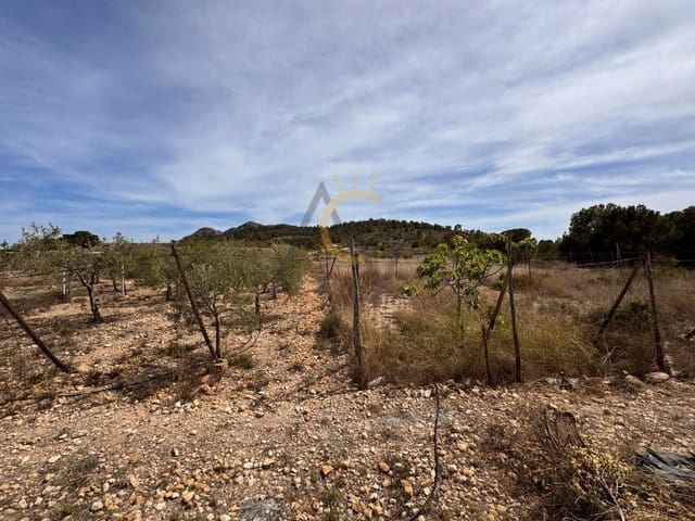 2 chambre Finca/Maison de Campagne à vendre à La Romana avec piscine - 103 000 € (Ref: 8377854)